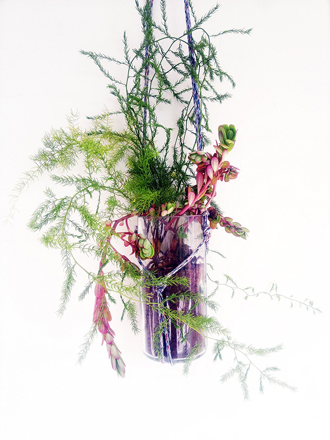 Hand Made Indoor cum Outdoor Hanging Glass Planter (Transparent)