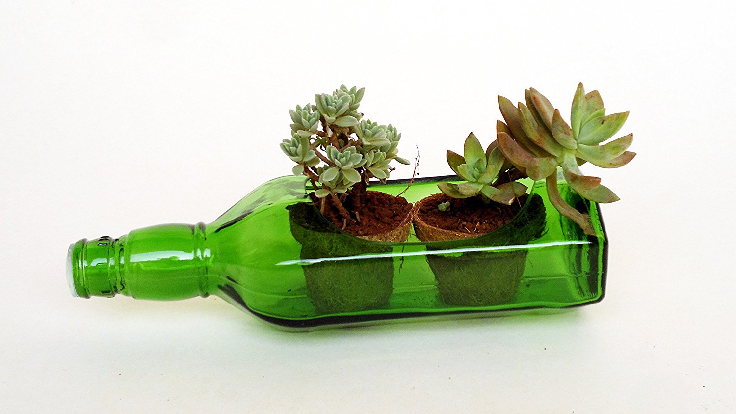 Napkin Holder cum Glass Planter (Green)