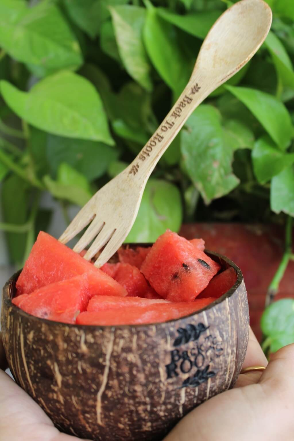 Coco Bowl (450-500 ml) and Bamboo Spork | Travel Kit | Matte Finished