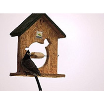 Nature Forever Fruit Feeder