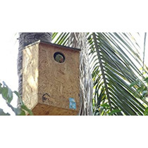 Nature Forever Parakeet Nestbox