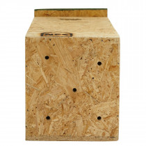 Nature Forever Mynah, Golden Oriole And Other Medium Sized Birds