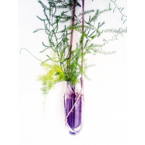 Sustainable Hanging Planter (Transparent)