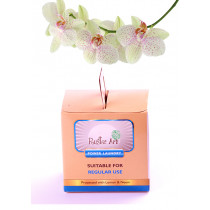 Rustic Art Power Laundry - 500 gms