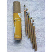 Paryaya Plantable Eco Pens - Pack of 5