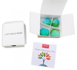 Plantable Seed Bombs - (Pack of 5)