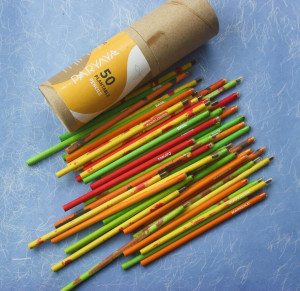 Paryaya Plantable Pencil - Pack of 50