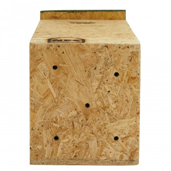 Nature Forever Mynah, Golden Oriole And Other Medium Sized Birds