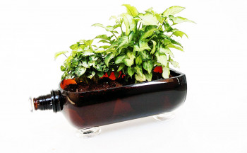 Multipurpose Serving Tray cum Glass Planter (Brown)