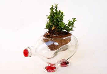 Handcrafted Ash Tray cum Table Glass Planter (Transparent)