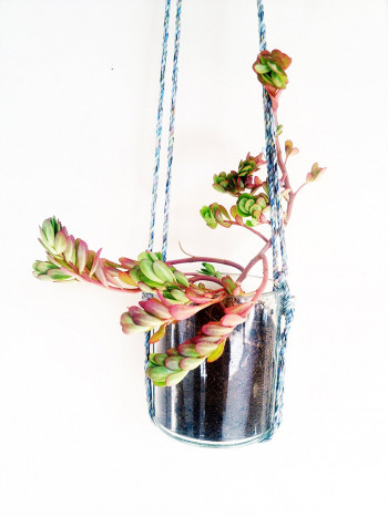 Beautiful Indoor cum Outdoor Hanging Glass Planter (Transparent)