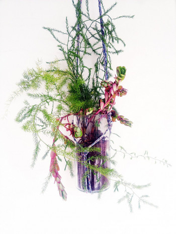 Hand Made Indoor cum Outdoor Hanging Glass Planter (Transparent)