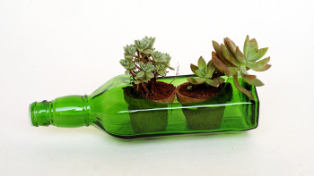 Napkin Holder cum Glass Planter (Green)