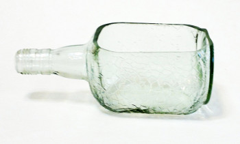 Dessert Serving Bottle cum Glass Planter (Transparent)