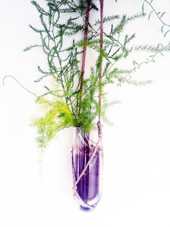 Sustainable Hanging Planter (Transparent)