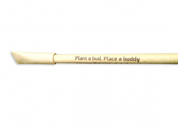 Eco friendly Plantable Seed Pen- (Pack of 50)