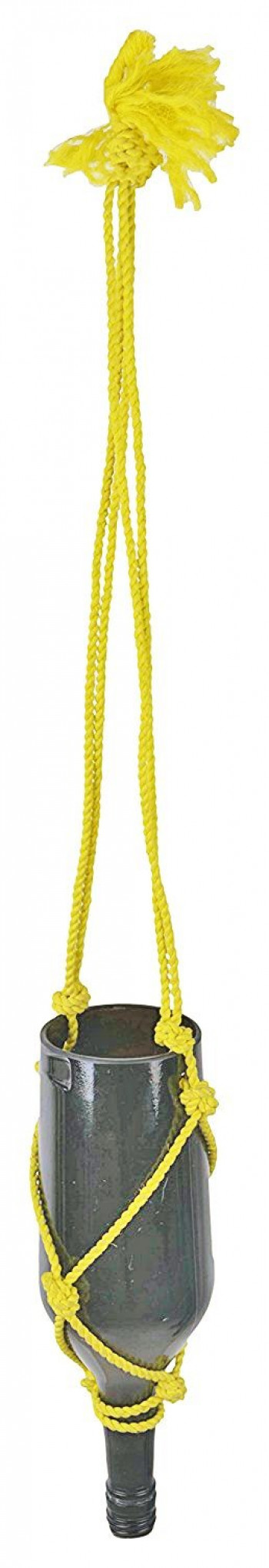 Indoor Decor Hanging Planter (Black)