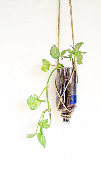 Indoor cum Outdoor Decor Hanging Planter (Clear)