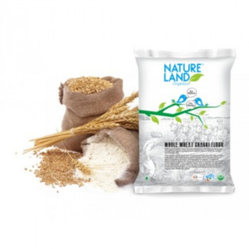 Whole Wheat Grain 5 Kg