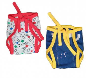 Combo of 2 nappies - Castle Combo