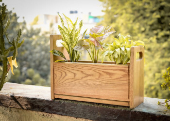 Planter Tray 