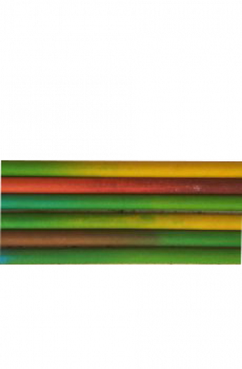 Fruit pencils (Pack of 10 pencils with Free Sharpener and Eraser)