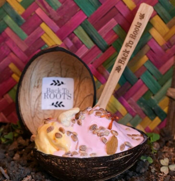 Coco Bowls | Matte Finished | 150-200 ml | Pack of 2