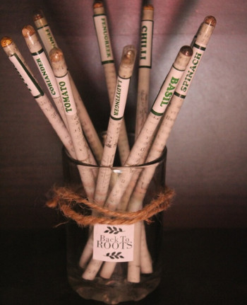 Plantable Colour Seed Pencil | Sow and Grow | Pack of 10 Colours