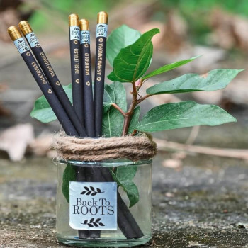 Plantable Seed Pencil | Sow and Grow | Pack of 5