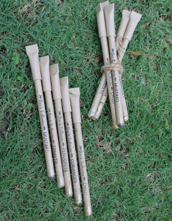 Plantable Seed Pens | Sow and Grow | Pack of 10