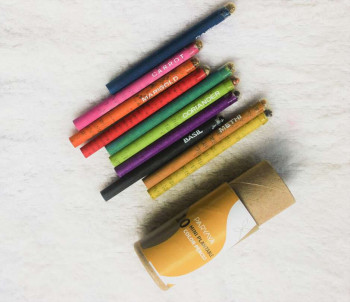 Paryaya Plantable Colour Pencil - Pack of 10 (mini)