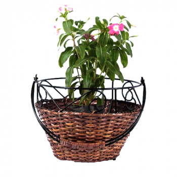 Eco-friendly Cane Hanging Planter (Round 9")