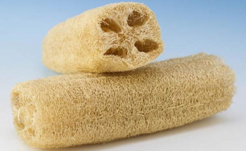 The Earth Trading Natural Loofah