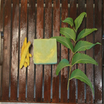 WILD TURMERIC LICORICE NEEM FACIAL BAR - SHVAASA SERIES