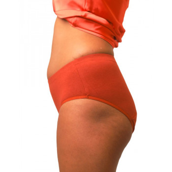 SOQO Hipster High Rise Leakproof Underwear- Pumpkin (Rust)