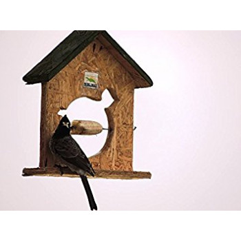 Nature Forever Fruit Feeder