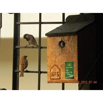 Nature Forever Sparrow And Tit Nestbox