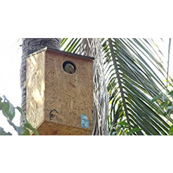 Nature Forever Parakeet Nestbox