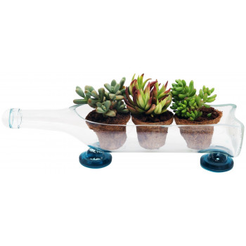 Handmade Glass Planter cum Serving Tray (Transparent)