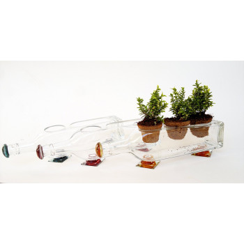 Unique Glass Planter cum Serving Set (Set Of 3 - Transparent)