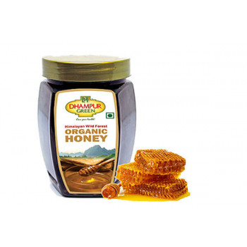 Dhampur Green Organic Honey - 500gms