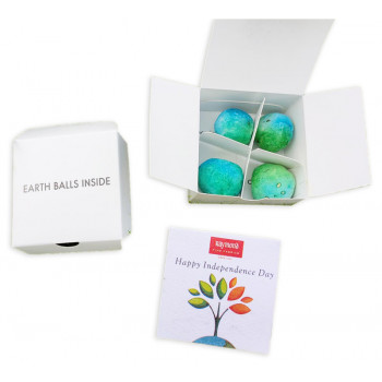 Plantable Seed Bombs - (Pack of 5)