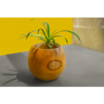 Bamboo planter round shape