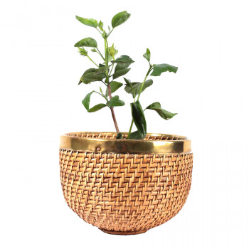 Natural Cane Planter (Egg Shaped 8")