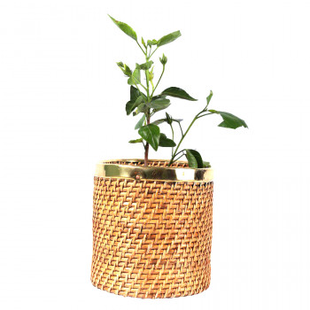 Natural Cane Planter cum Multipurpose Bin (Square 6")