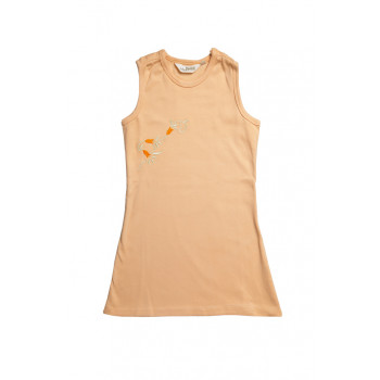 Sleeveless Frock with Embroidery