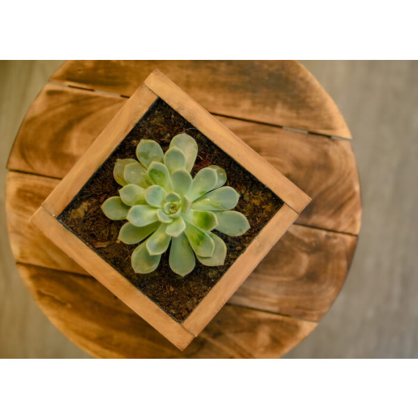 Cube Planter 4