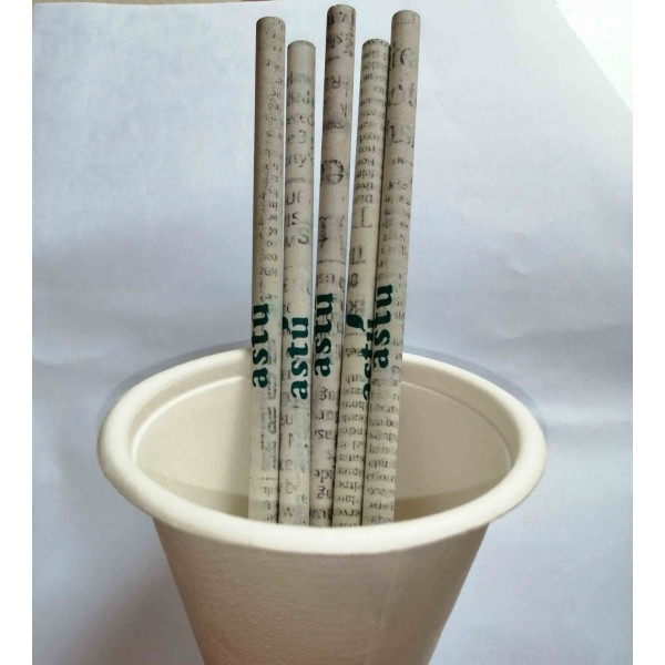 Eco-friendly NewsPaper pencil Set of 5