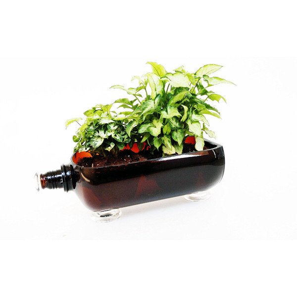 Multipurpose Serving Tray cum Glass Planter (Brown)