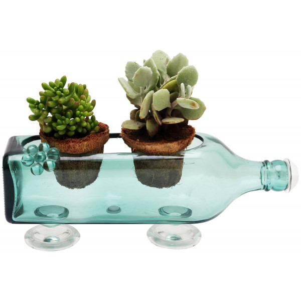 Upcycled Table Décor cum Glass Planter (Transparent Sea Green)
